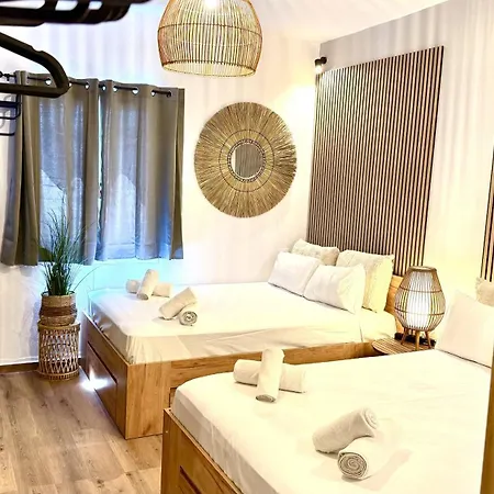 Naousaki Premium 4