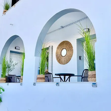 Naousaki Premium 4