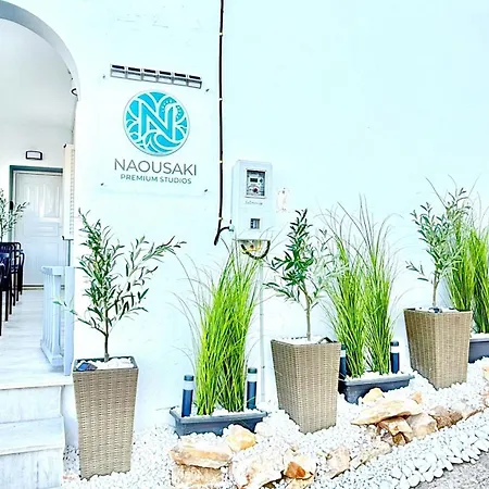 Naousaki Premium 4