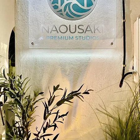 Naousaki Premium 4 Lejlighed Naousa